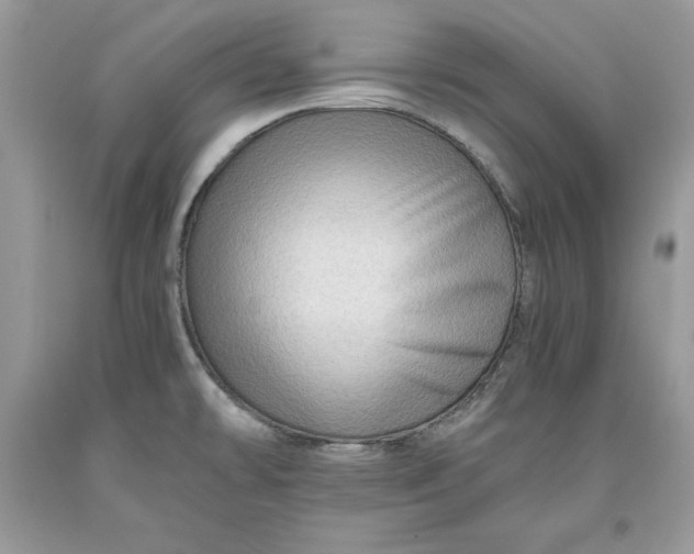 X0000093511478200710261146