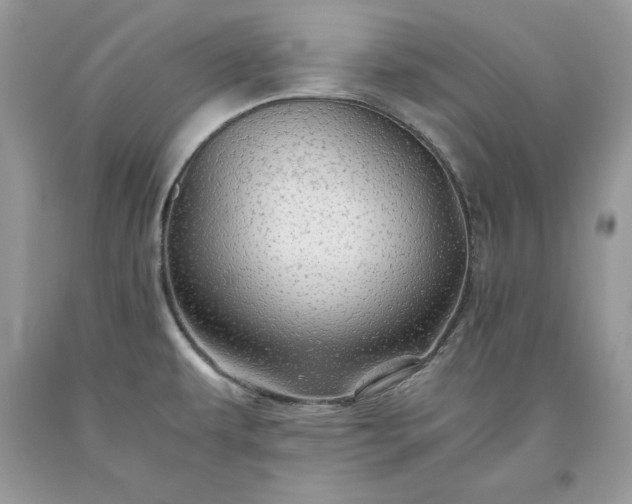 X0000093511479200710261146
