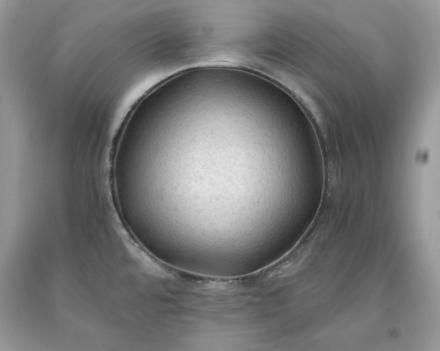 X0000093511480200710261146