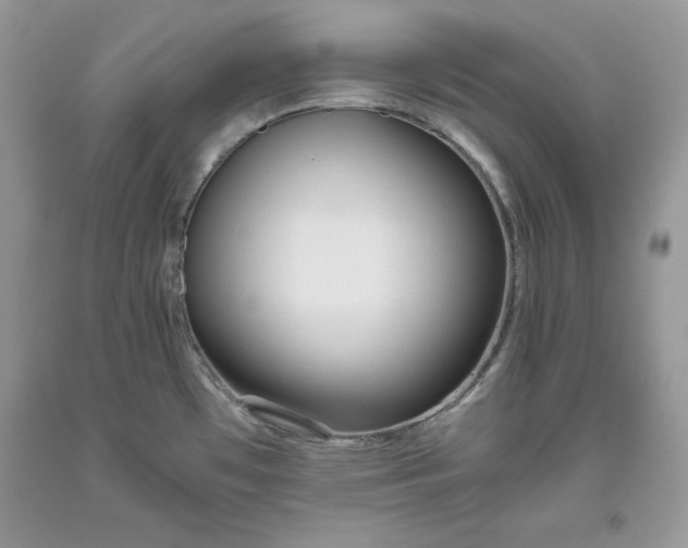 X0000093511481200710261146