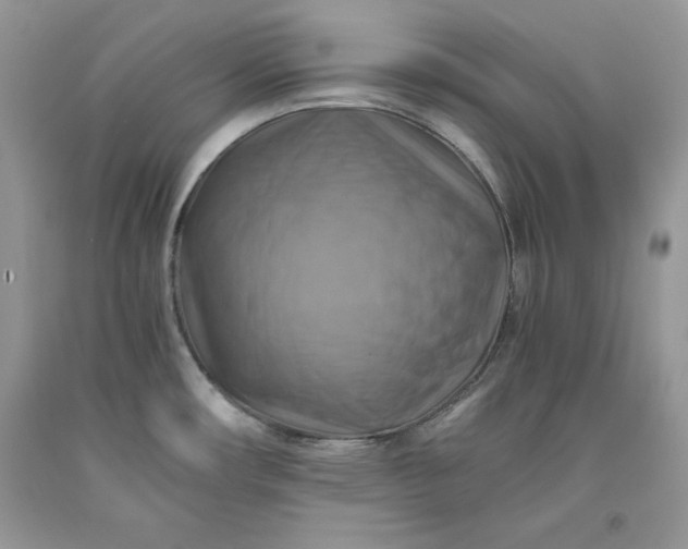X0000093511482200710261146
