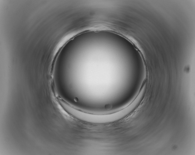 X0000093511485200710261146