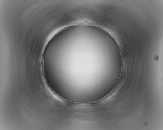 X0000093511486200710261146