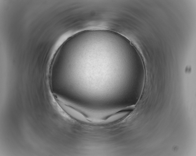 X0000093511488200710261146