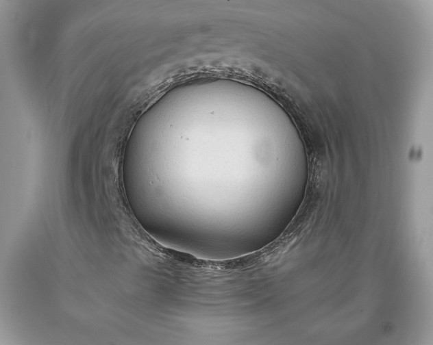 X0000093511489200710261145