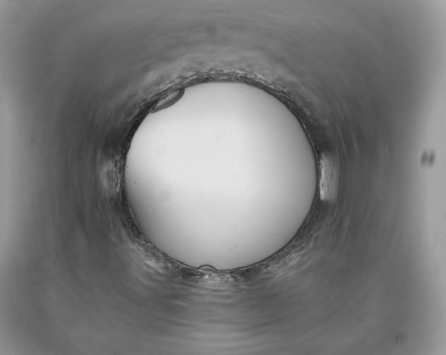 X0000093511491200710261145
