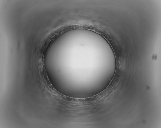 X0000093511493200710261145