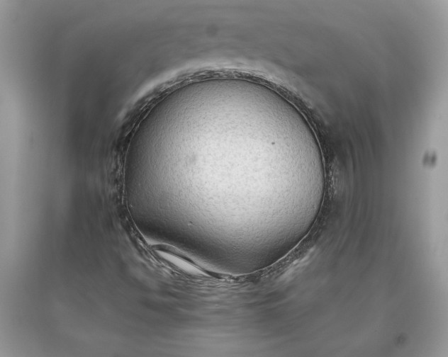 X0000093511494200710261145