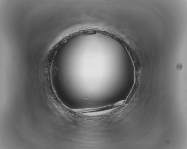 X0000093511496200710261145