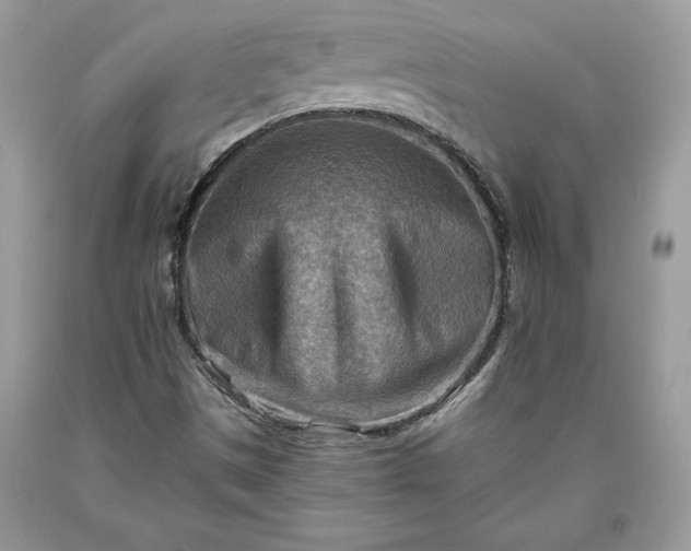X0000093511497200710261145