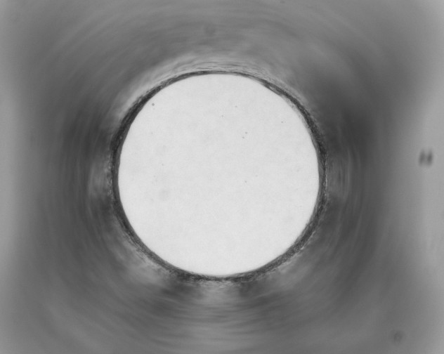 X0000093511498200710261145