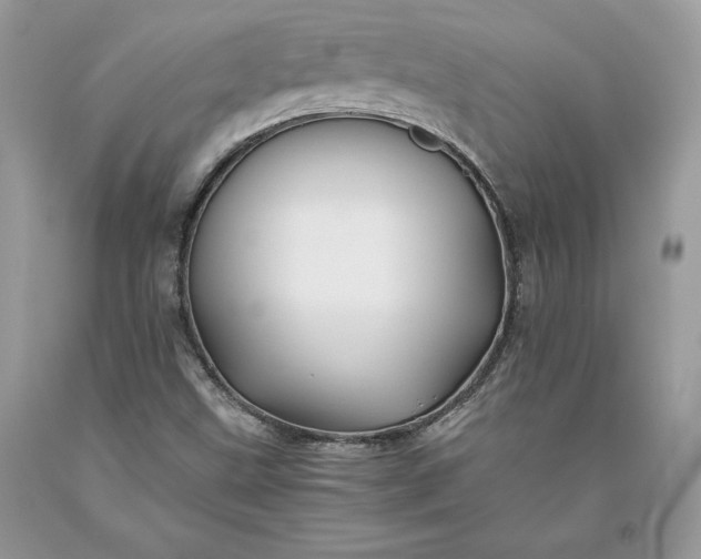 X0000093511499200710261145