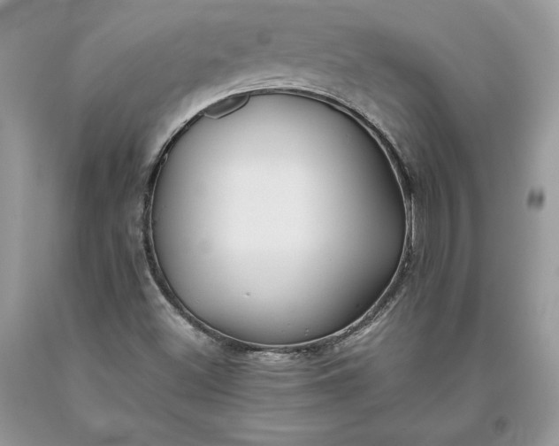 X0000093511500200710261145