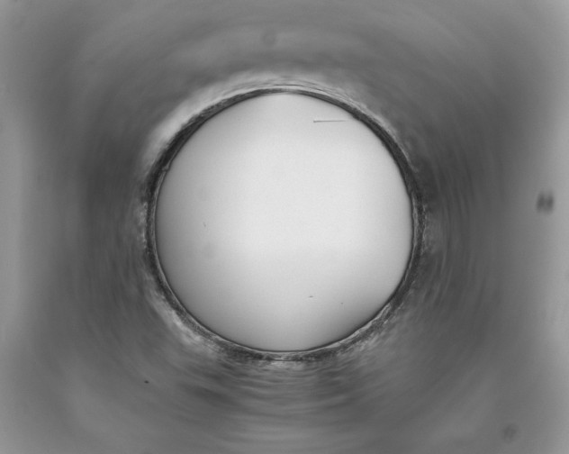 X0000093511503200710261146