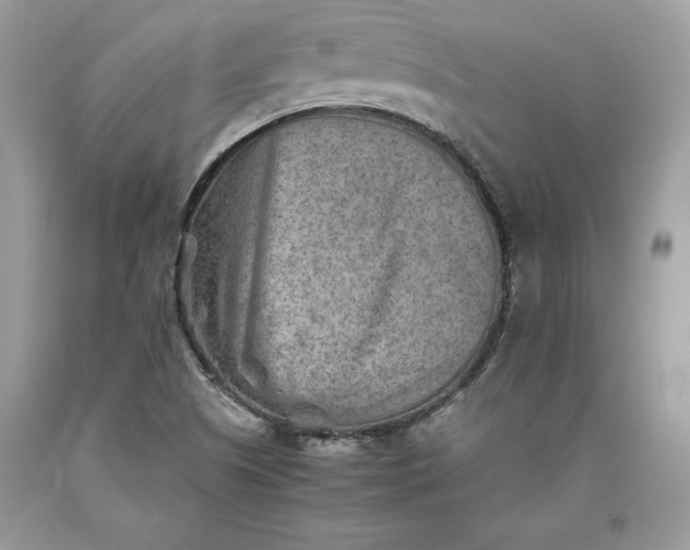 X0000093511505200710261146