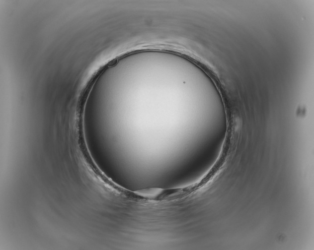 X0000093511506200710261146