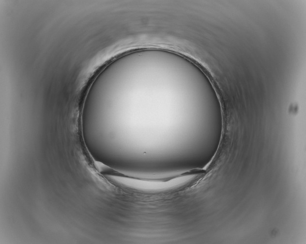 X0000093511507200710261146