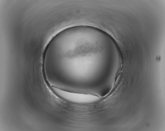 X0000093511508200710261146
