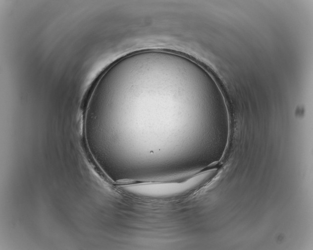 X0000093511509200710261146