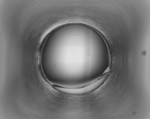 X0000093511510200710261146
