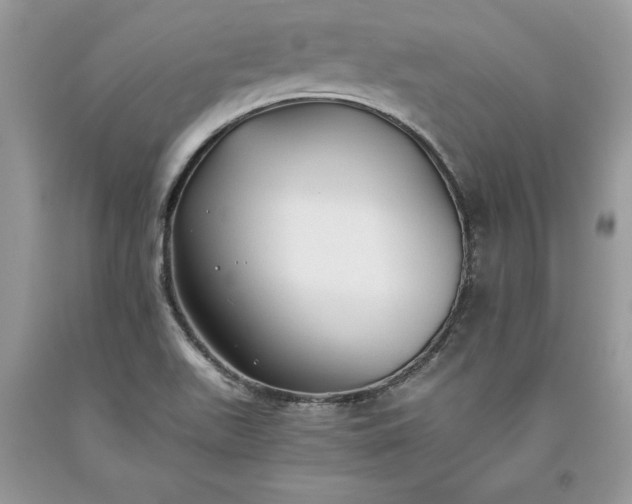 X0000093511511200710261146