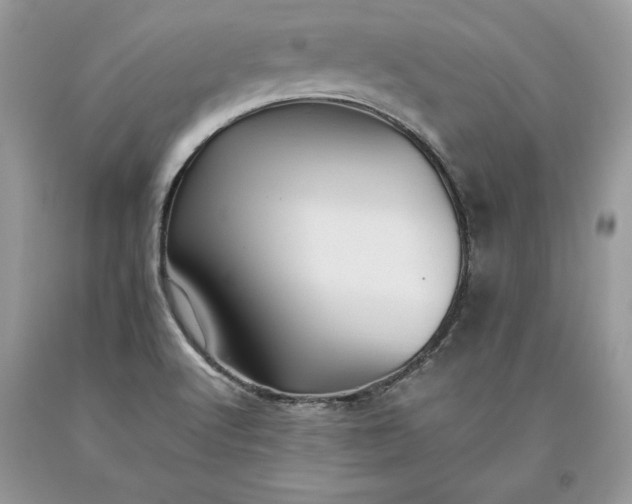 X0000093511512200710261146