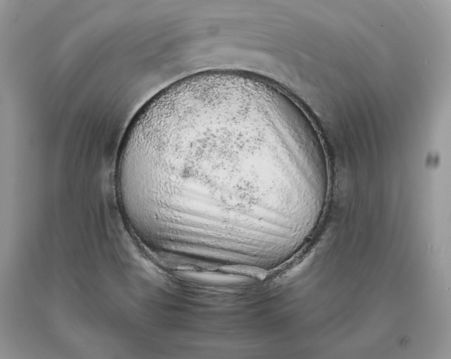 X0000093511513200710261146