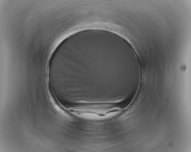 X0000093511515200710261146