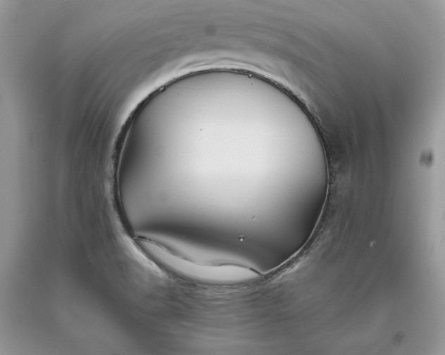 X0000093511518200710261146