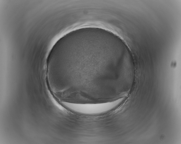 X0000093511519200710261146