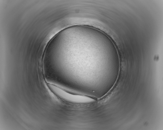 X0000093511521200710261146