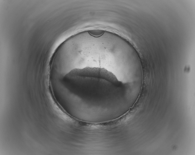 X0000093511522200710261146