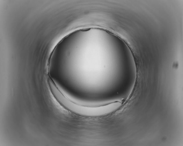 X0000093511524200710261146