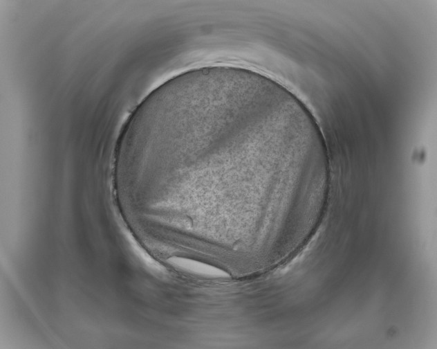 X0000093511525200710261146
