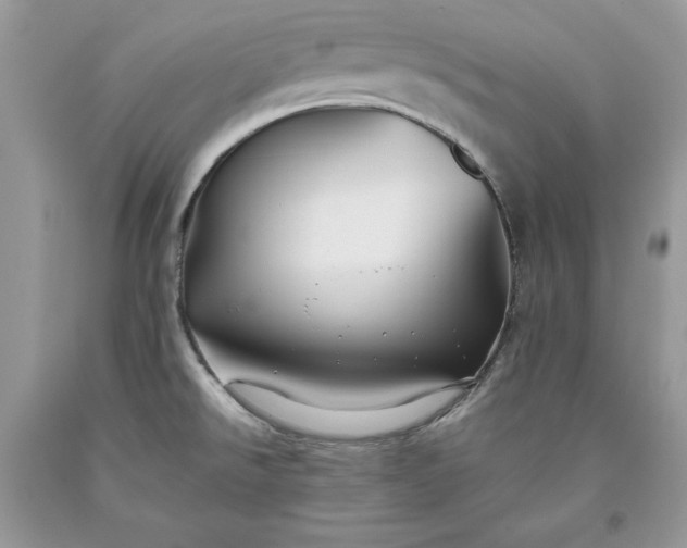 X0000093511526200710261146