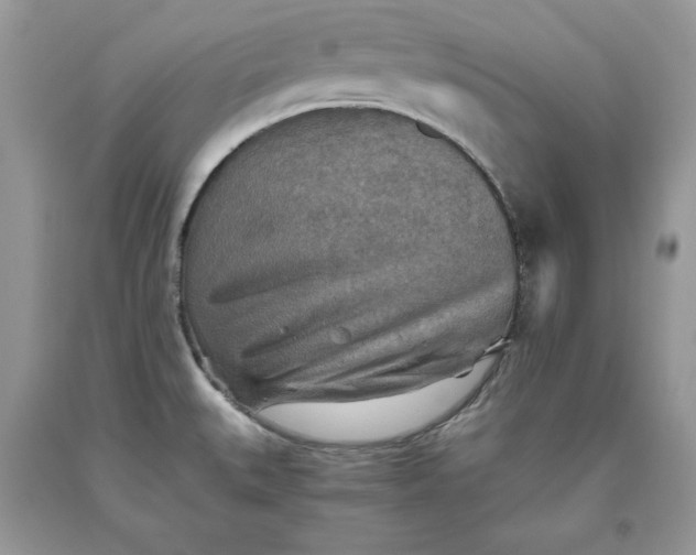X0000093511527200710261146