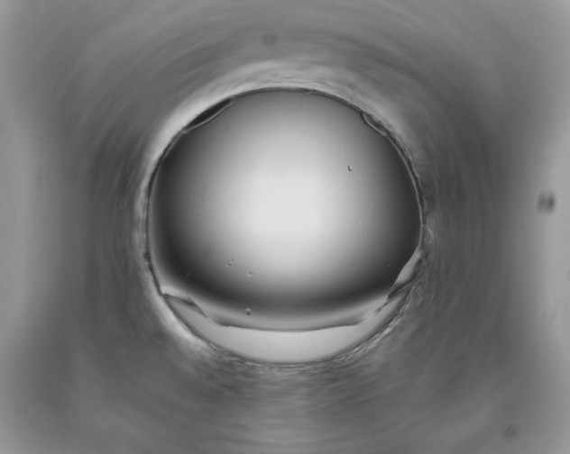 X0000093511528200710261146