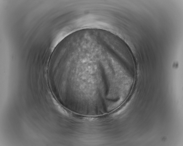 X0000093511529200710261146