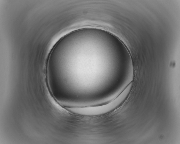 X0000093511531200710261146