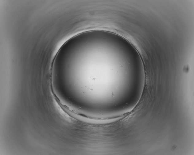 X0000093511532200710261146