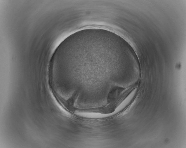 X0000093511533200710261146