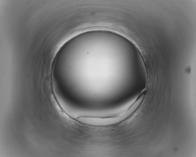 X0000093511534200710261146