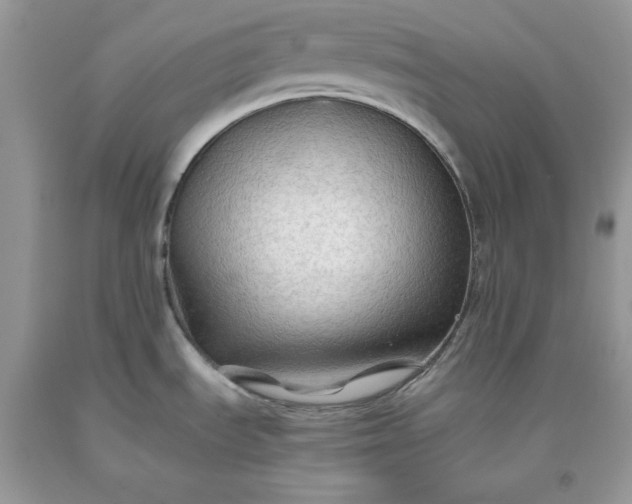 X0000093511535200710261146