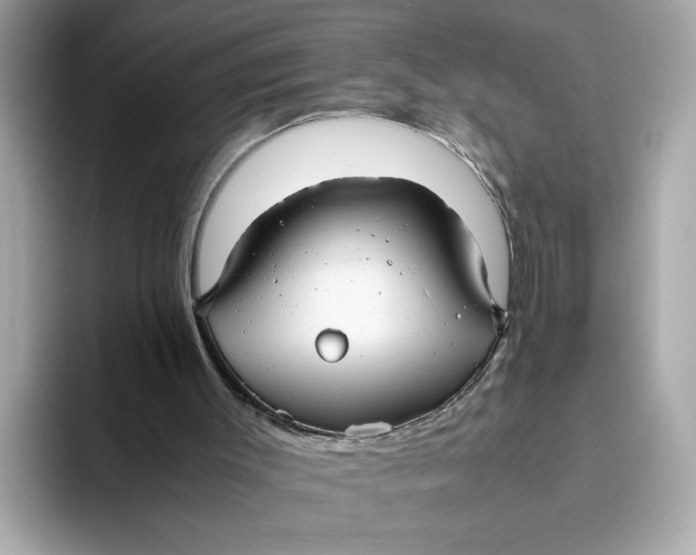 X0000093510003200711021036