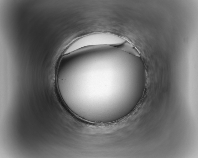 X0000093510005200711021036