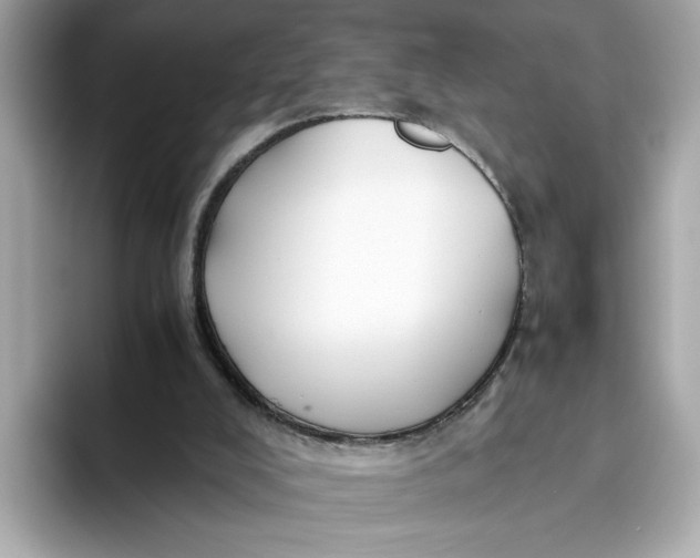 X0000093510008200711021036