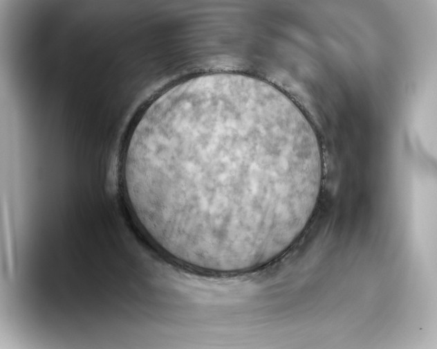 X0000093510012200711021036