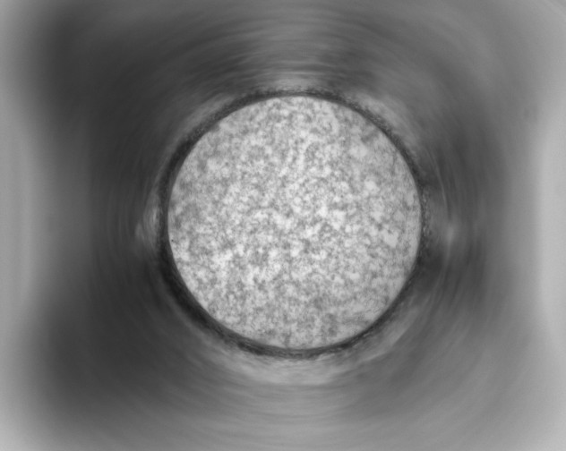 X0000093510016200711021036