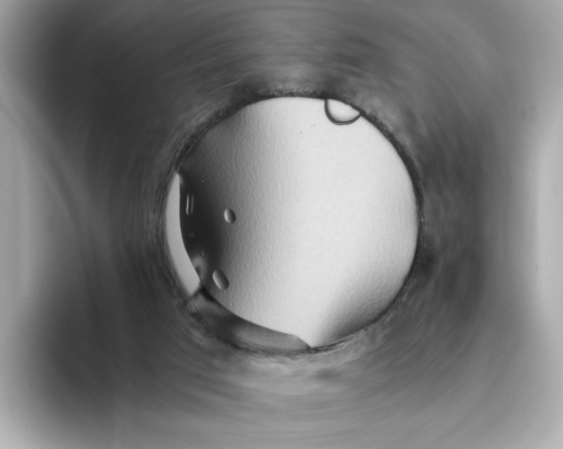 X0000093510017200711021036