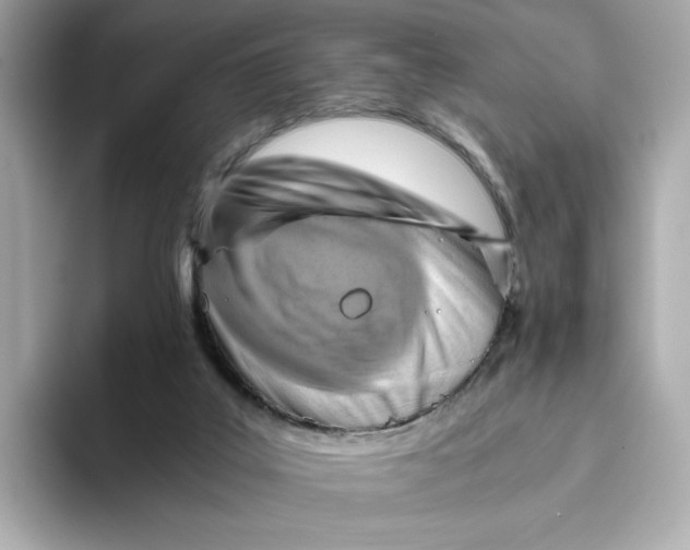 X0000093510019200711021036